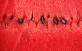 Watermelon closeup seeds macro texture - seed free wallpaper