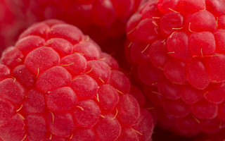 Raspberries water droplets yellow tip - a yellow tip free wallpaper