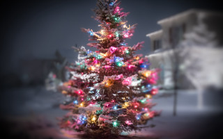 Christmas tree city street bokeh - bokeh free wallpaper