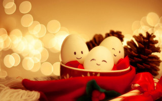 Three eggs red bowl pine - cheerful free wallpaper for desktop