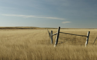 Wooden fence tall grass sky - in a field free wallpaper