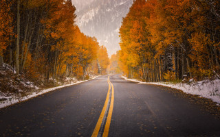 Autumn road trees leaves fireworks - orange leaf free wallpaper