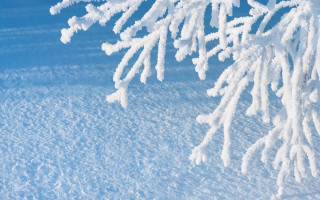 Snowboarder winter scene blue sky - a snowboarder free wallpaper