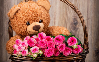 Teddy bear basket roses wood - a wooden background free wallpaper