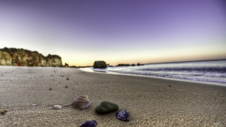 Beach rocks shells cliff purple - a cliff in the background free wallpaper