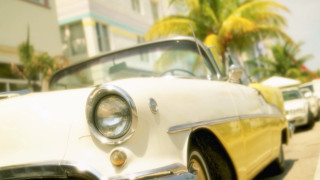 White car palm street photorealism - street free wallpaper