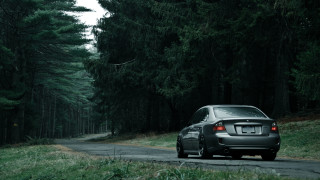 Car woods road tiltshift nature - tall tree free wallpaper