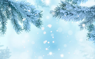 Blue christmas snow pine fireworks - winter free wallpaper for desktop