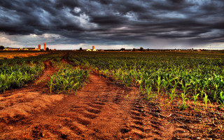 Stormy dirt road cityscape clouds - a dirt road in a field free wallpaper