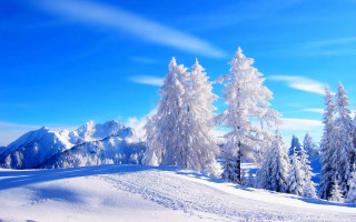 Snowy landscape trees mountains blue 6 - a snowy landscape free wallpaper