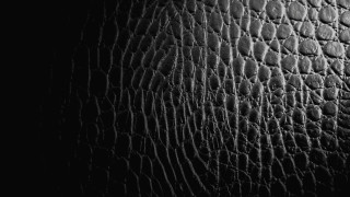 Leather texture circles dots bathroom - free textures wallpaper for desktop