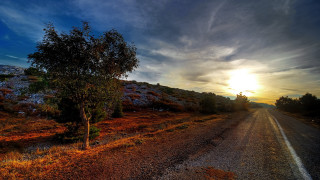 Sunset road tree city lake - constantine andreou free wallpaper