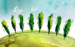 Soccer field trees birds environmental - eyvind earle free wallpaper