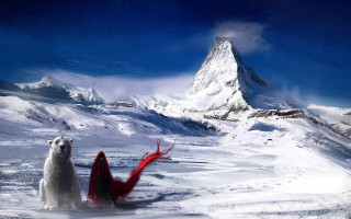 Polar bear red woman snow - polar free wallpaper