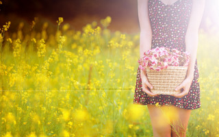 Woman dress basket flowers field - a basket of flowers free wallpaper