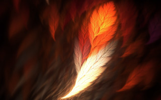 Blurry leaf red yellow background - a white stripe free wallpaper
