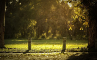 Park tree fence grass tiltshift - a grassy area free wallpaper