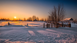 Sunset snowy field fence trees 2 - a fence and trees free wallpaper