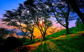 Sunset grassy hill trees water - a sunset view free wallpaper