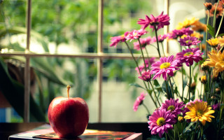 Red apple book vase flowers - a red apple free wallpaper