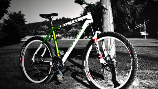 Bike tree park bench telephone - a bike free wallpaper