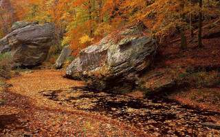 Woods rock formation autumn leaves - the ground in the foreground free wallpaper