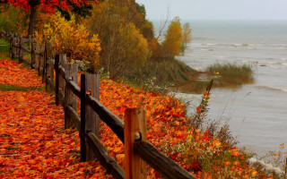 Fence autumn leaves lake boats - a few boat free wallpaper
