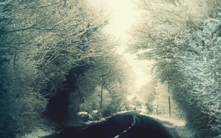 Snowy road car winter forest - winter free wallpaper