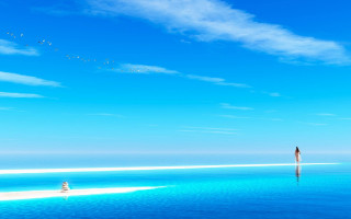 Lone person water sky birds - overhead free wallpaper