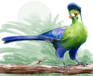 Colorful bird blue head tail - a digital painting free wallpaper