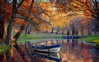 Boat water woodland autumn impressionist - the shore free wallpaper