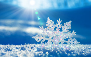 Snowflake sunshine blue sky winter - the middle of the picture free wallpaper