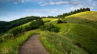 Dirt path green hillside trees - a dirt path free wallpaper