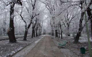 Snowy park walkway bench trees - a path free wallpaper