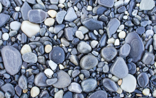 Rocks gravel cat shallow depth - rock and gravel free wallpaper