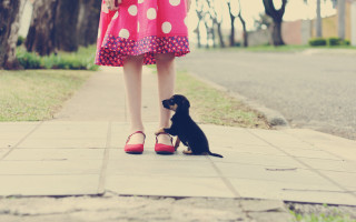 Little dog woman feet beach - a sidewalk free wallpaper