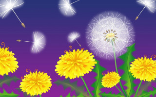 Dandelion seeds purple sky summer - seed free wallpaper