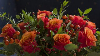 Orange roses leaves berries stilllife - a bouquet free wallpaper