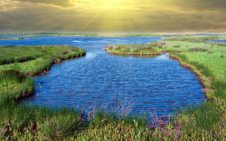 River grassy bank sunny landscape - shining free wallpaper