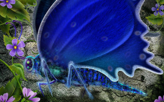 Blue butterfly purple flowers garden - a long tail free wallpaper