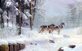 Snowy forest wolves bird anne - a snowy forest free wallpaper for desktop