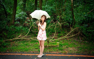 Woman pink dress umbrella woods - fallen free wallpaper