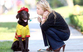 Woman dog costume toothbrush blonde - a costume free wallpaper
