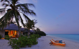 Beach hut loungers dusk palm - dreamlike free wallpaper