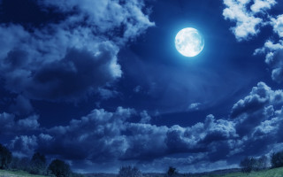 Full moon night sky forest - full moon free wallpaper