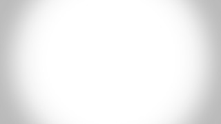 Cat dog bench black white - postminimalism free wallpaper