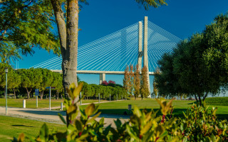 Bridge trees bench park scenery - a park area free wallpaper