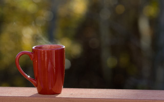 Red coffee cup wooden table - a forest of trees free wallpaper for desktop