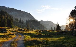 Grassy field path mountains trees - a path in the middle free wallpaper