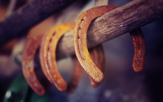 Wooden stick rings green object - ring free wallpaper